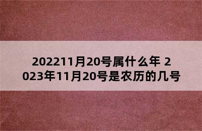 202211月20号属什么年 2023年11月20号是农历的几号